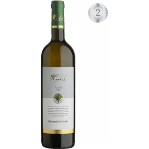 Hrabal Rulandské šedé Grand Vin - pozdní sběr 2019 0,75l